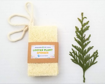 Set of 3 All Natural Loofah Sponges Double Layer | Bathroom Exfoliating Skin Care | Kitchen | Plastic-free | Eco Friendly | Compostable