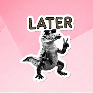 Grappige latere Gator-stickerset voor waterflessen, hilarische universiteitssticker cadeau voor vrienden, waterflesstickers met schattige latere Gator-woordspeling