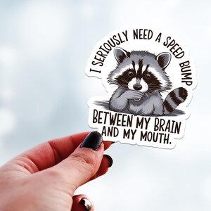 Sticker raton laveur mignon, mots sarcastiques, humour noir, cadeau d'autonomisation, imperméable durable, autocollants arc-en-ciel, citations d'entraînement, affirmation drôle
