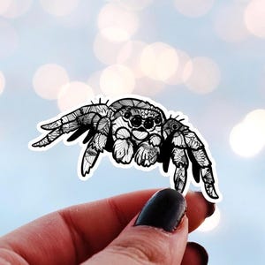 Könnte beinhalten: Ein schwarz-weißer Aufkleber einer Spinne mit komplizierten floralen und geometrischen Mustern. Die Spinne hat große Augen und detaillierte Beine. Der Hintergrund ist ein weiches Blau mit verschwommenen weißen Kreisen.
