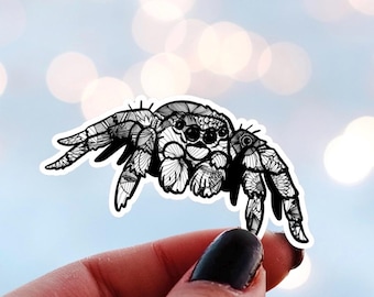 May include: A black and white sticker of a spider with intricate floral and geometric patterns. The spider has large eyes and detailed legs and is held by a hand with black nail polish. The background is a soft blue with blurred white circles.