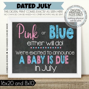 Pink or Blue, Either Will Do, PRINTABLE Pregnancy Announcement, Printable Pregnancy Sign, Chalkboard Sign, Baby Announcement, boy or girl