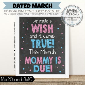 PRINTABLE Pregnancy Announcement, We Made a Wish, Sibling Announcement, Baby Number 3, Sibling Sign, 3rd Baby, Big Sister, Big Brother