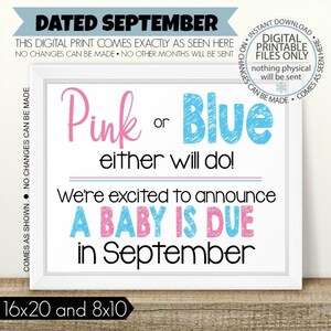 Pink or Blue, Either Will Do, PRINTABLE Pregnancy Announcement, Printable Pregnancy Sign, September Sign, Baby Announcement, boy or girl