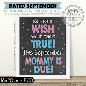PRINTABLE Pregnancy Announcement, We Made a Wish, Sibling Announcement, Baby Number 3, Sibling Sign, 3rd Baby, Big Sister, Big Brother