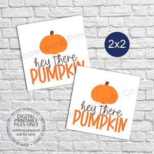 Puede incluir: Dos tarjetas cuadradas imprimibles de 2x2 pulgadas con fondo blanco y un gráfico de calabaza naranja. El texto en las tarjetas dice "hey there pumpkin".
