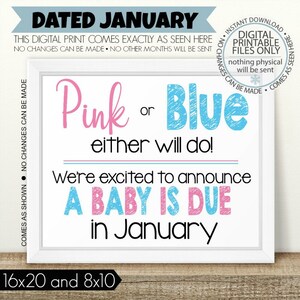 Pink or Blue, Either Will Do, PRINTABLE Pregnancy Announcement, Printable Pregnancy Sign, January Sign, Baby Announcement, boy or girl