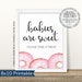 Printable Donut Baby Shower Signs Mom-osa Sprinkled With - Etsy