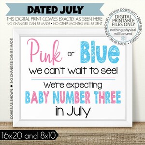 Pink or Blue, Can't wait to see, PRINTABLE Pregnancy Announcement, Sibling Announcement, Baby Number 3, 3rd Baby, 3rd Pregnancy, Baby three