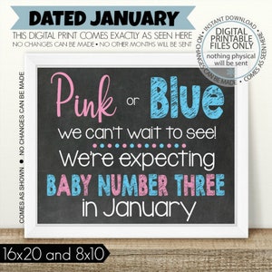 Pink or Blue, We Can't Wait to See, PRINTABLE Pregnancy Announcement, Sibling Announcement, Baby Number 3, 3rd Baby, Baby Number three