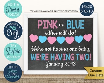 May include: A chalkboard-style sign with a white frame announces a twin pregnancy. The text reads "PINK or BLUE either will do!" with pink and blue hearts. It also says "WE'RE HAVING TWO!" and "January 2018".