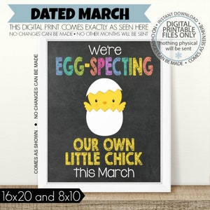 PRINTABLE Easter Pregnancy, Easter Pregnancy Announcement, We&#39;re expecting a little chick, We&#39;re Egg-specting, Chalkboard Sign March