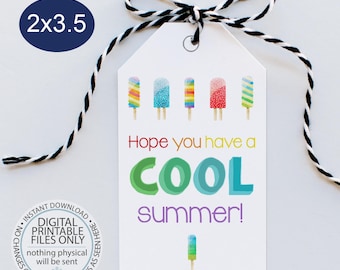 Printable Popsicle Favor Tags, Have a Cool Summer Tag, End of School Tag, Funny Friend Gift Tags, Summer Gift Tag cards, teacher tag, summer