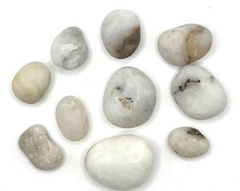 Oregon Coast Quartz Beach Stones - Lot of 10 - Quartzite Zeolite