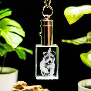 Personalized Holiday Gift, Custom Engraved Art, Laser Etched Print, Best Friends, Birthday, Pet Lovers | Photo Crystal Keychain Rectangle