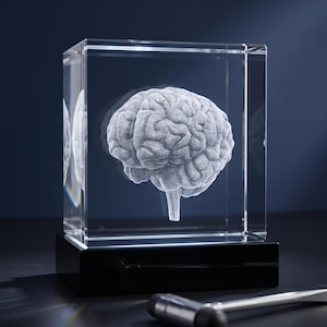 Brain Anatomy Sculpture, 3D Crystal Square, Neurosurgeon Gift, Medical Graduation Present, Clinic Decor