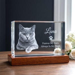 Cat Memorial Gift, 3D Photo Crystal, Feline Remembrance Keepsake, Pet Loss Tribute - Rectangle