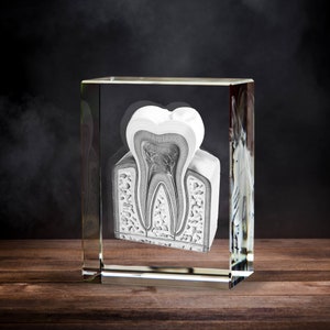 Custom Dentist Gift, Tooth Anatomy, Doctor Gifts, New Clinic Decor, Laser Etched Glass, Retirement Gift Idea | 3D Photo Crystal Rectangle