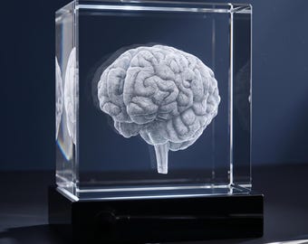 Neurosurgeon Graduation Gift, Anatomical Brain 3D Crystal Sculpture, Laser Engraved Neurologist Office Decor