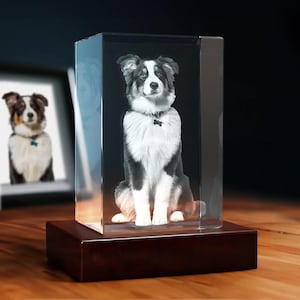 May include: A clear crystal block with a 3D image of a black and white dog, sitting. The crystal is mounted on a dark brown wooden base. A framed photo of the dog is in the background.