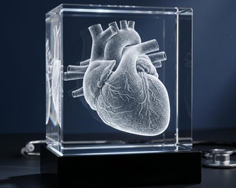 Custom Cardiologist Gift, Anatomical Heart 3D Crystal Sculpture, Anatomy Decor for Doctors
