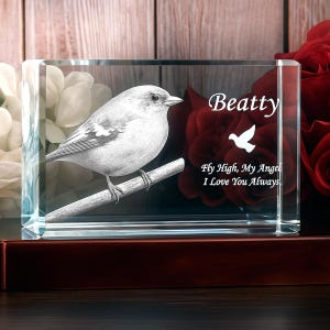 Personalized Bird Memorial Stone, Remembrance Gift, Laser Etched Picture, Pet Loss Gift, Handmade Parrot Urn | 3D Photo Crystal Rectangle