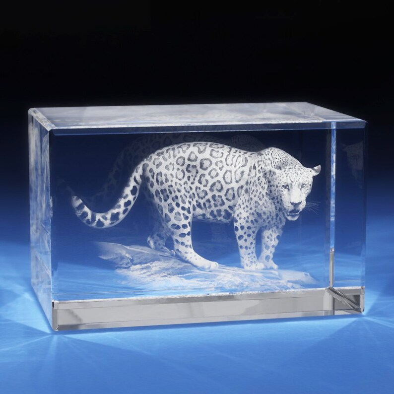 3д лазерная гравировка в стекле суэнко. Лазерная гравировка на стекле. Лазерная 3д гравировка в стекле. Сувенир с лазерной гравировкой в стекле. Гравировка внутри стекла.