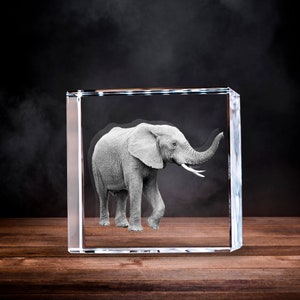 Elephant 3D Photo Crystal, Wild Animal Art, Custom Home Decor, Animal Lover, Laser Etched Print, New Year Gifts | 3D Photo Crystal Square