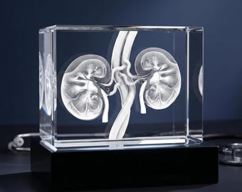 Personalized Nephrologist Gift, 3D Etched Kidney Anatomy Crystal Model, Urologist Office Decor - Rectangle