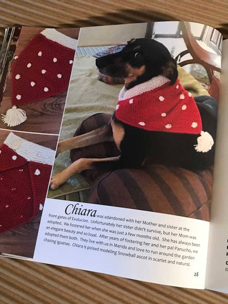 Dog Knitting Pattern Book Just for Style Hounds Etsy