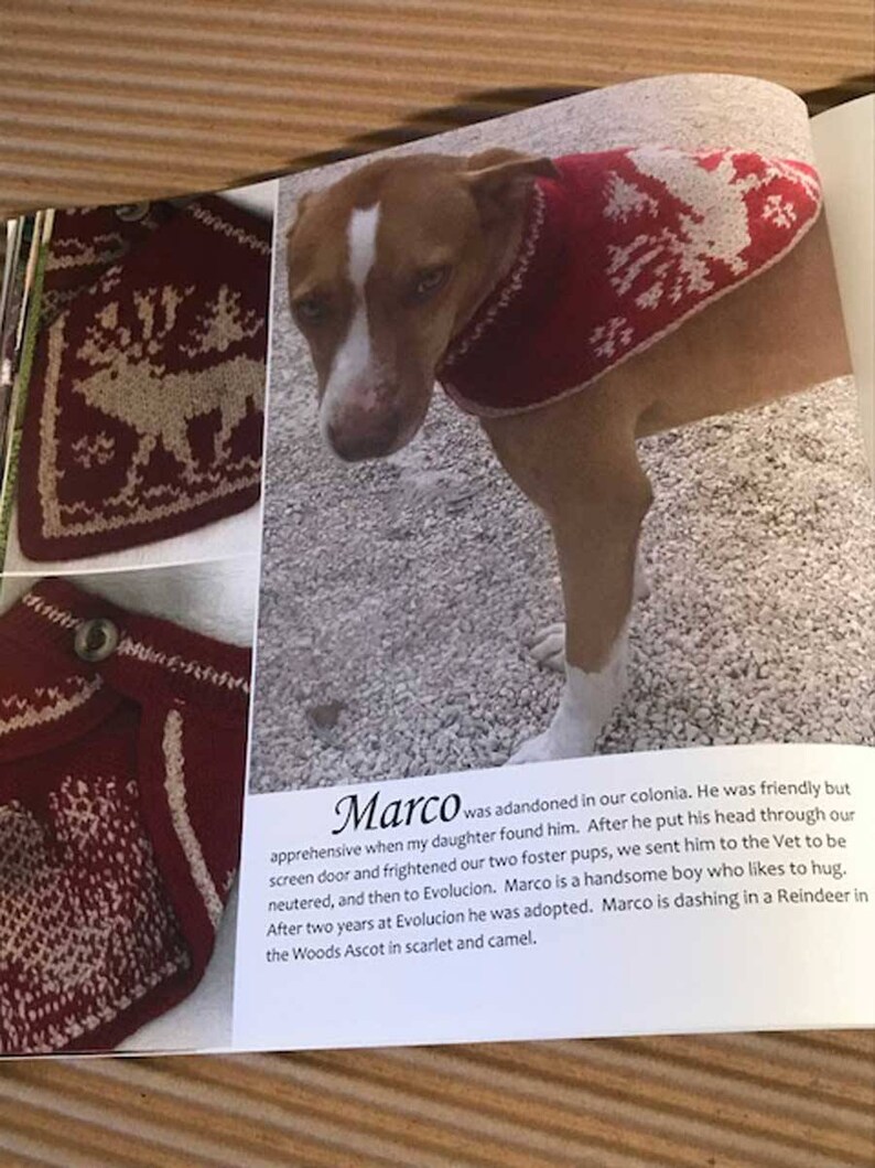 Dog Knitting Pattern Book Just for Style Hounds Etsy