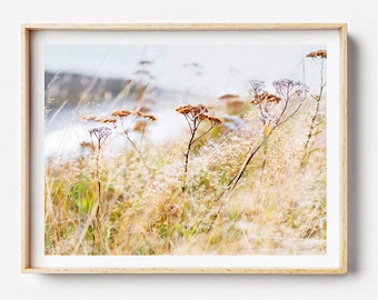 Beach Photography Print, New Zealand Print - Grassy Whispers - Beach Art Print, Wall Art, Coastal Art Print, Grass Print, NZ Photo Print