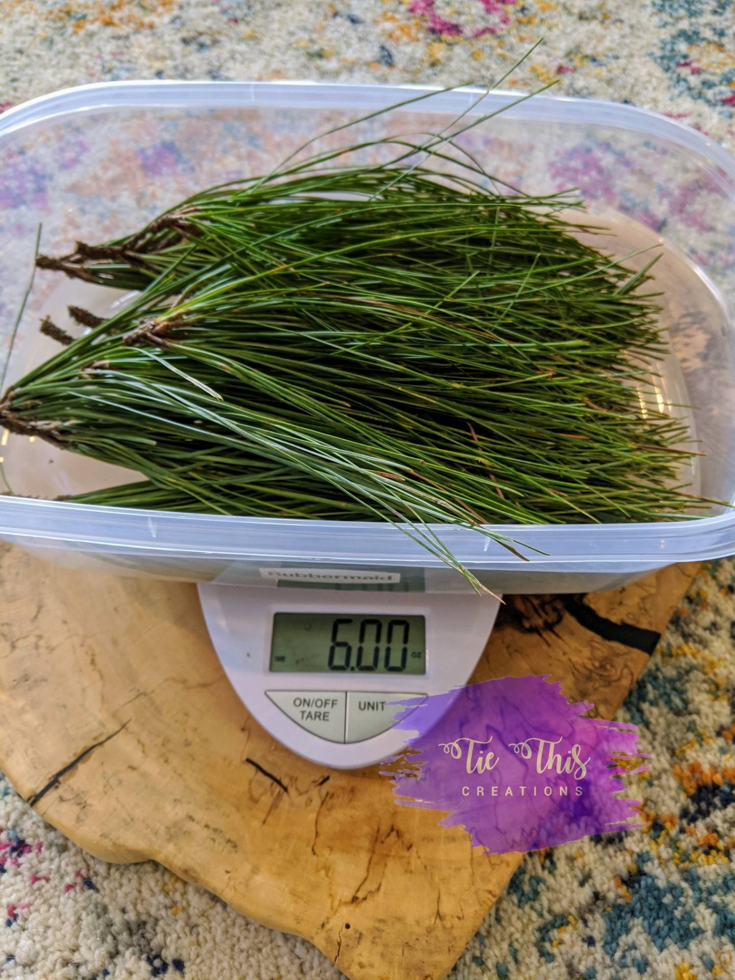 Fresh Cut Green Pine Needles Etsy