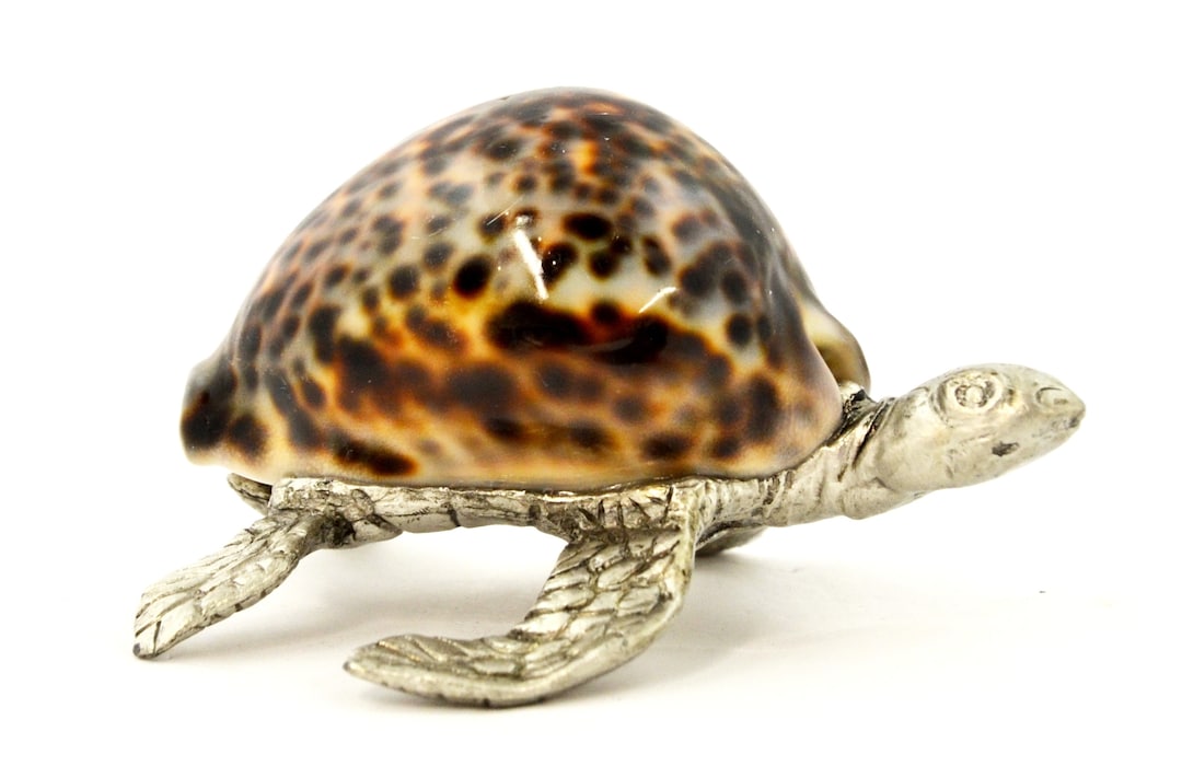 Turtle Shell Conk Hand Made Sea Turtle With Conch Shell by Ciel Collectables. Made With ...