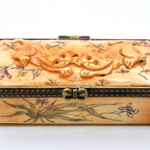 May include: A rectangular ivory trinket box with a hinged lid. The lid features a carved design of two playful kittens in a garden setting. The box is accented with a brass trim and a decorative brass clasp.
