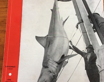 Couverture du magazine australien grand requin blanc géographique 1939