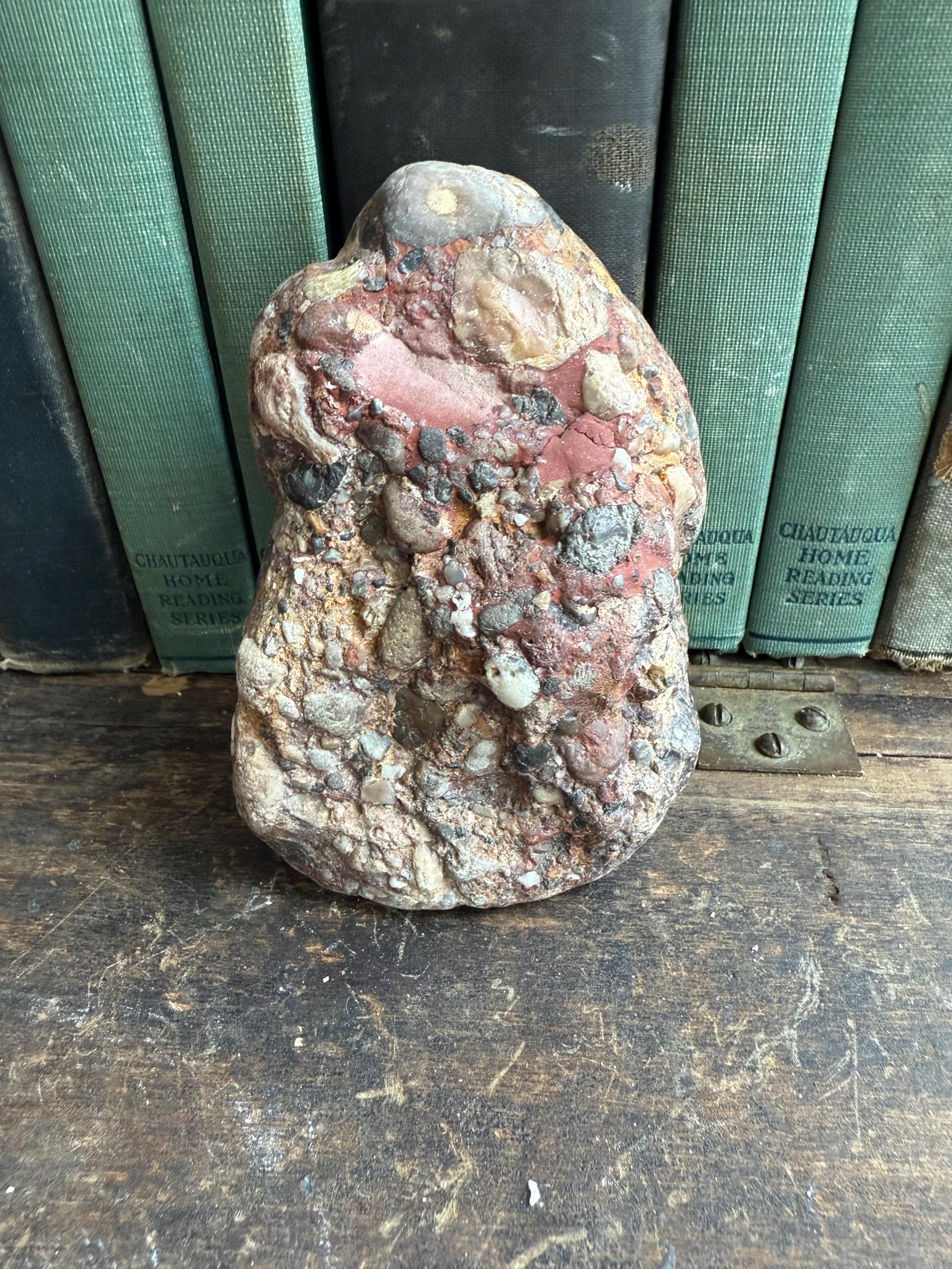 Rough Pudding Stone Wyoming Jasper Conglomerate | Pudding Stone Lapidary Supply | 344 Grams | 4.2 Inches | 63001