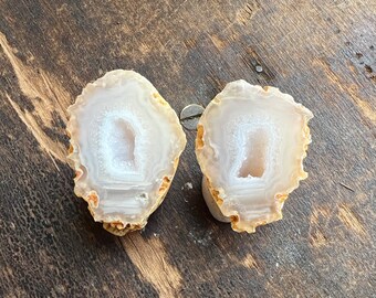 Agate Pair From Idaho | Small Beautiful Agate Nodule Pair | White Chalcedony | 37mm | 31911