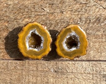 May include: Two brown agate geode slices with a white crystal interior. The geode slices are approximately 1 inch in diameter.