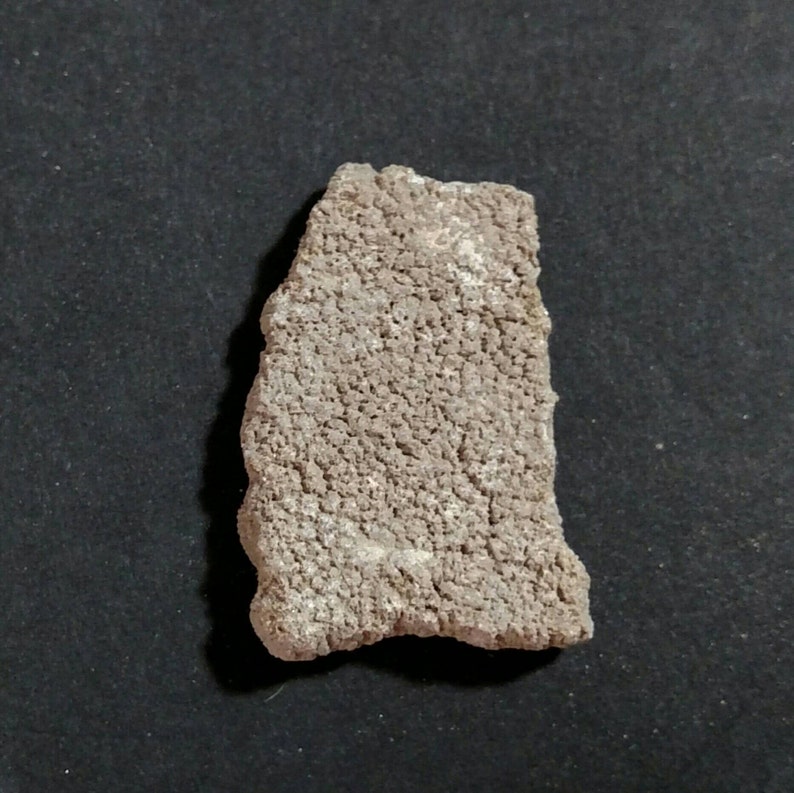 One Saltasaurus Dinosaur Egg Shell Fragment Natural Dinosaur | Etsy