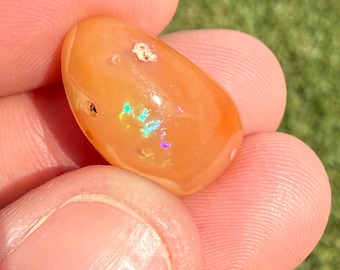 May include: A polished, oval opal gemstone. The opal has a warm orange base colour with iridescent flashes of blue, green, and purple. Small, light-coloured inclusions are visible on the surface. The gemstone is held between fingers.
