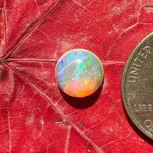 May include: A round, iridescent opal gemstone with flashes of blue, green, and orange, resting on a red leaf. The opal is next to a United States quarter coin for size comparison.