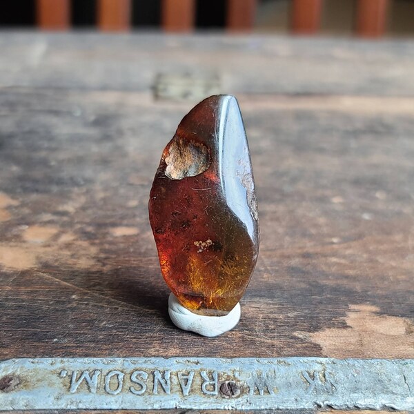 Mexican Chiapas Amber Top Polished | 7 grams | 47x23mm | Mexican Amber Rough Cab Supply | Polished Window Amber | 80601