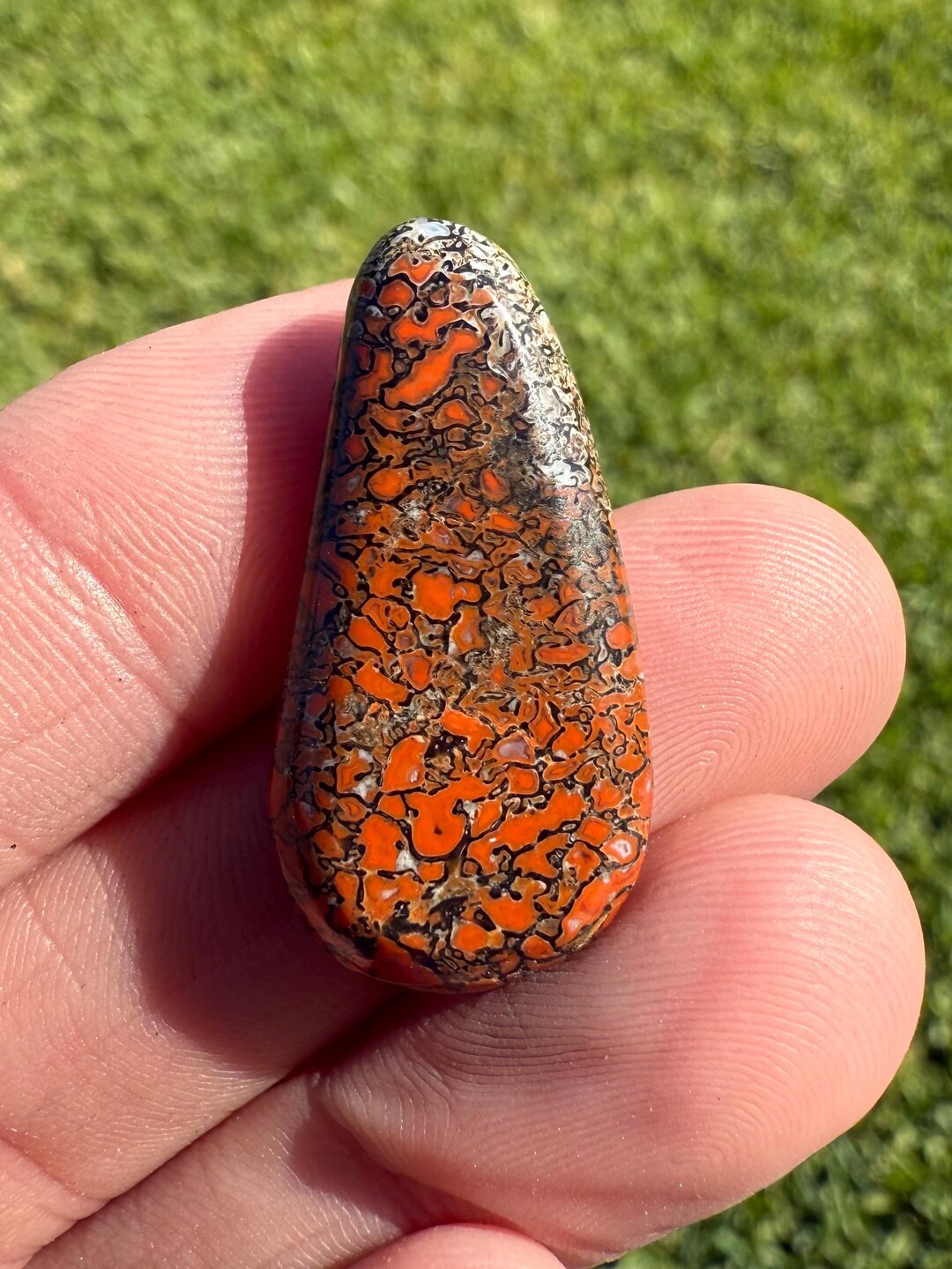 Dinosaur Gembone Cabochon | Fossil Jewelry Supply | Red Cells | 30mm ...
