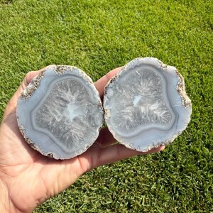 May include: Two polished agate stone halves, each displaying concentric bands of gray and white. The stones have a crystalline center and a rough, textured outer edge. The background is green grass.