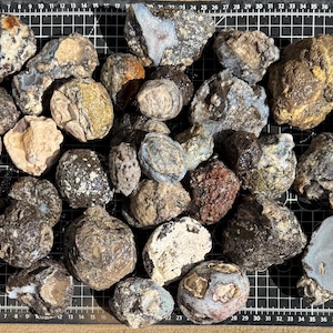 May include: A collection of various raw, unpolished rocks and geodes of different sizes, shapes, and textures, including shades of brown, gray, tan, and white, arranged on a black cutting mat with a white grid and measurement markings.