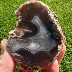 May include: A brown and white agate geode with a swirling pattern. The geode is cut in half and polished to reveal the intricate details of the agate.