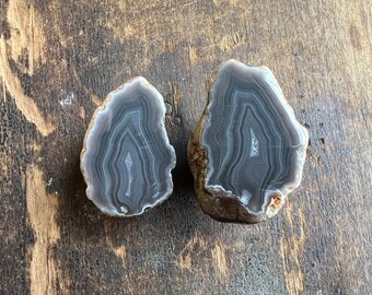 Gray Banded Laguna Agate Pair From Mexico | Small Banded Laguna Agate Nodules | Mini Laguna Agate Geode Pair | 50 Grams | 32403