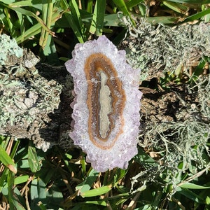 Extra Large Amethyst Stalactite Slice | Natural Purple Amethyst Flower | Brazil | Collector Crystal | February Birthstone | 71mm | 113003