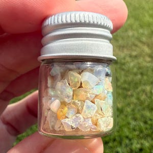 Pu&ograve; includere: Un piccolo barattolo di vetro pieno di pietre preziose di opale grezze. Il barattolo ha un coperchio a vite in metallo argentato. Gli opali sono un mix di colori bianchi, gialli e iridescenti. Il barattolo &egrave; tenuto in mano a una persona su uno sfondo verde sfocato.